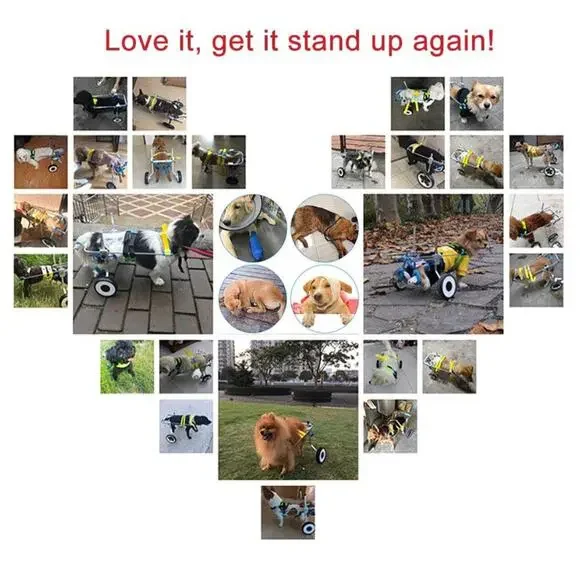 HiHydro Cart Small Pet Wheelchair Handicapped Hind Legs Dog Cat Walk XXS-XS